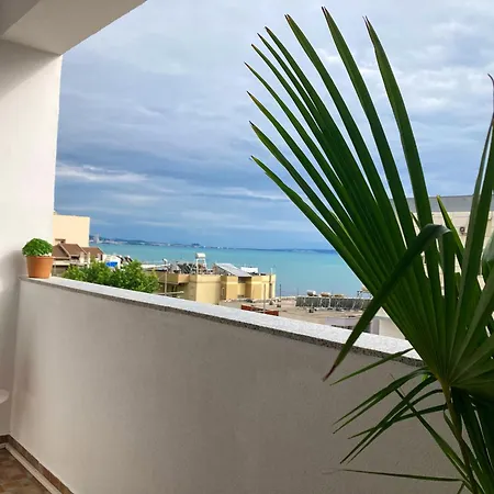 Palms