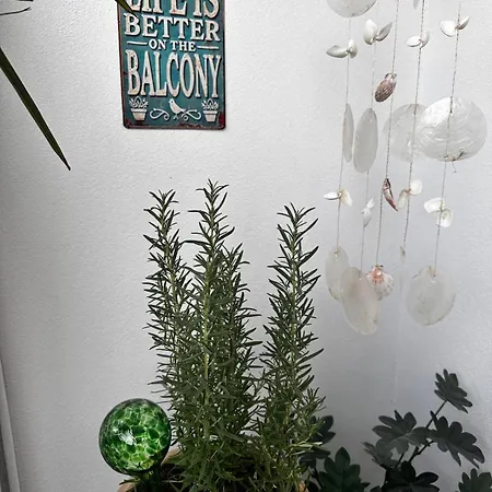 Apartamento Palms Durrës