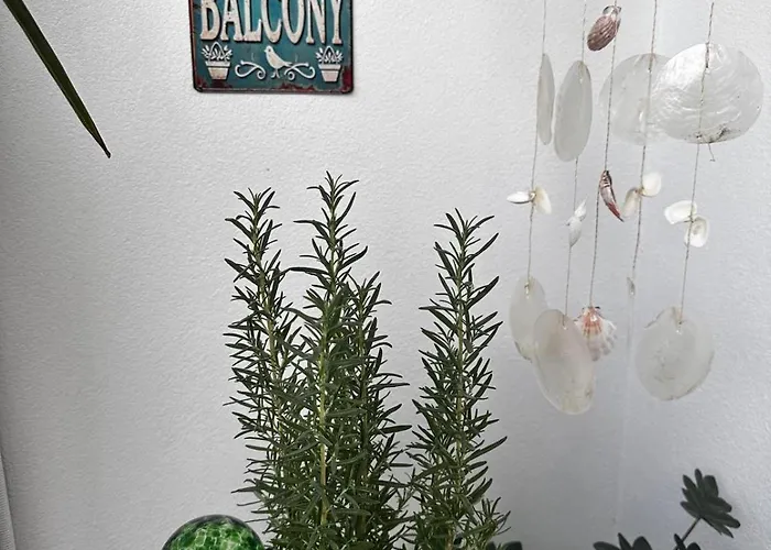 Apartment Palms Durres